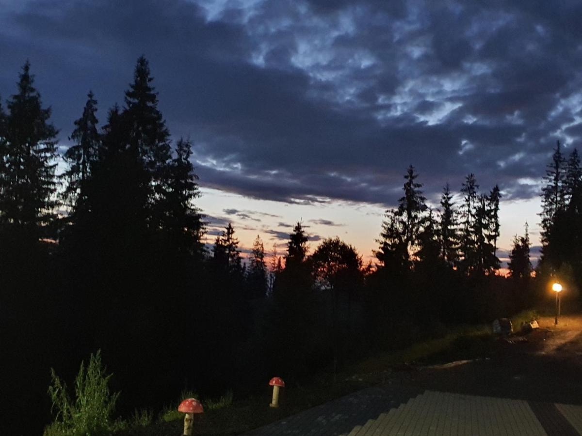 Hotel Casa Sofia Bucovina Ciumirna Zewnętrze zdjęcie