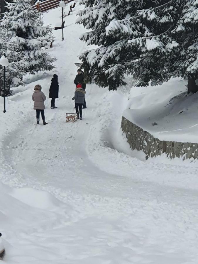 Hotel Casa Sofia Bucovina Ciumirna Zewnętrze zdjęcie