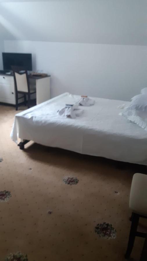 Hotel Casa Sofia Bucovina Ciumirna Zewnętrze zdjęcie